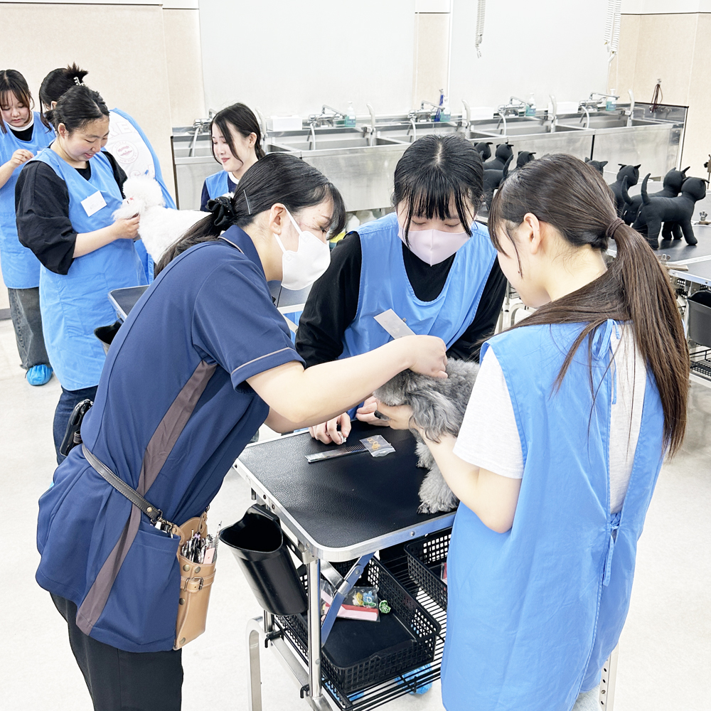 高校３年生対象！入学前のプレ授業♪